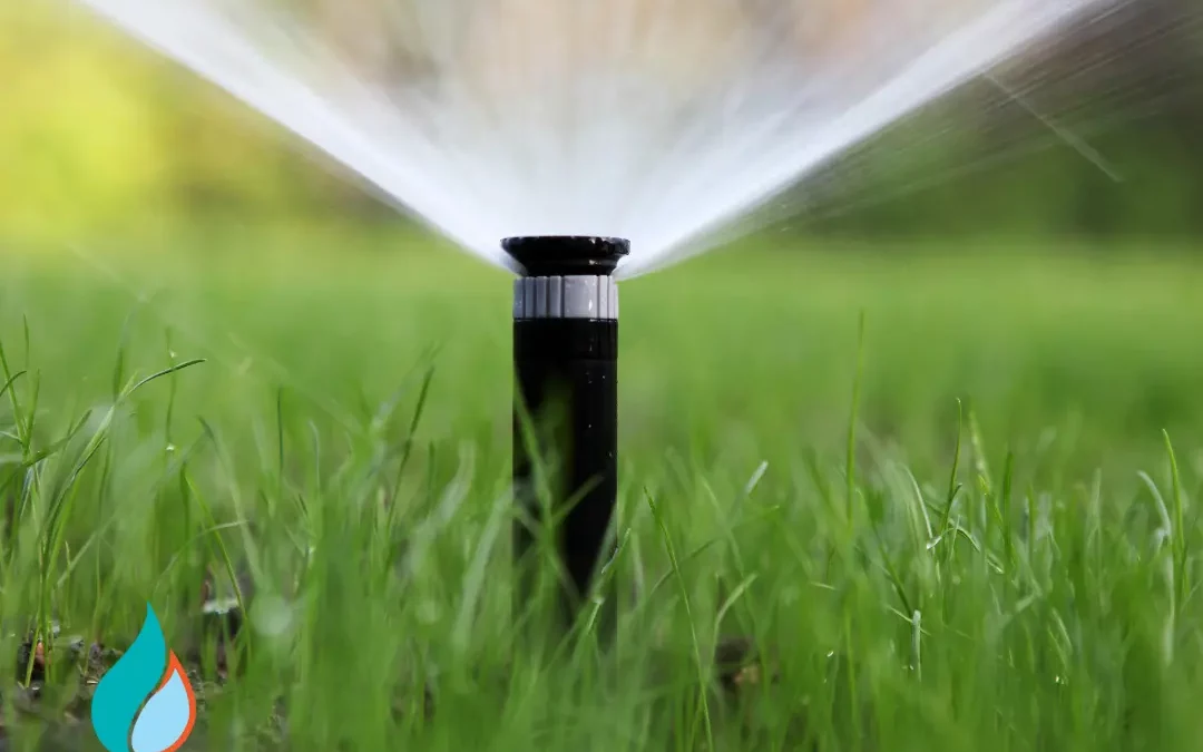 July is Smart Irrigation Month – Be a Water Warrior!