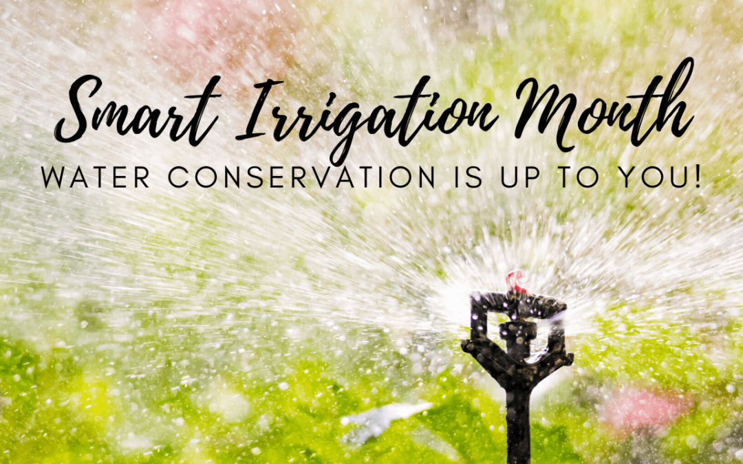 July is Smart Irrigation Month – Be a Water Warrior!