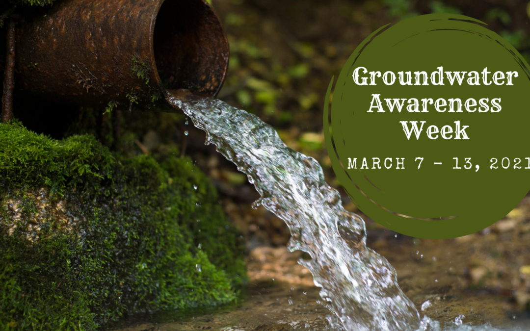 Groundwater Awareness Week Promotes Advocacy & Education!