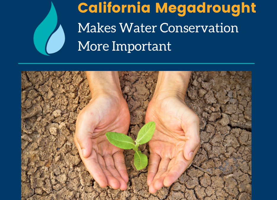 California Megadrought Makes Water Conservation More Important