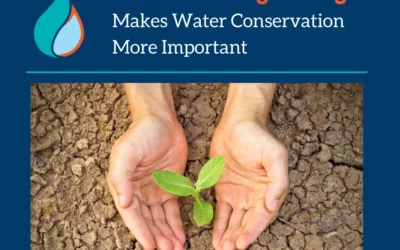 California Megadrought Makes Water Conservation More Important