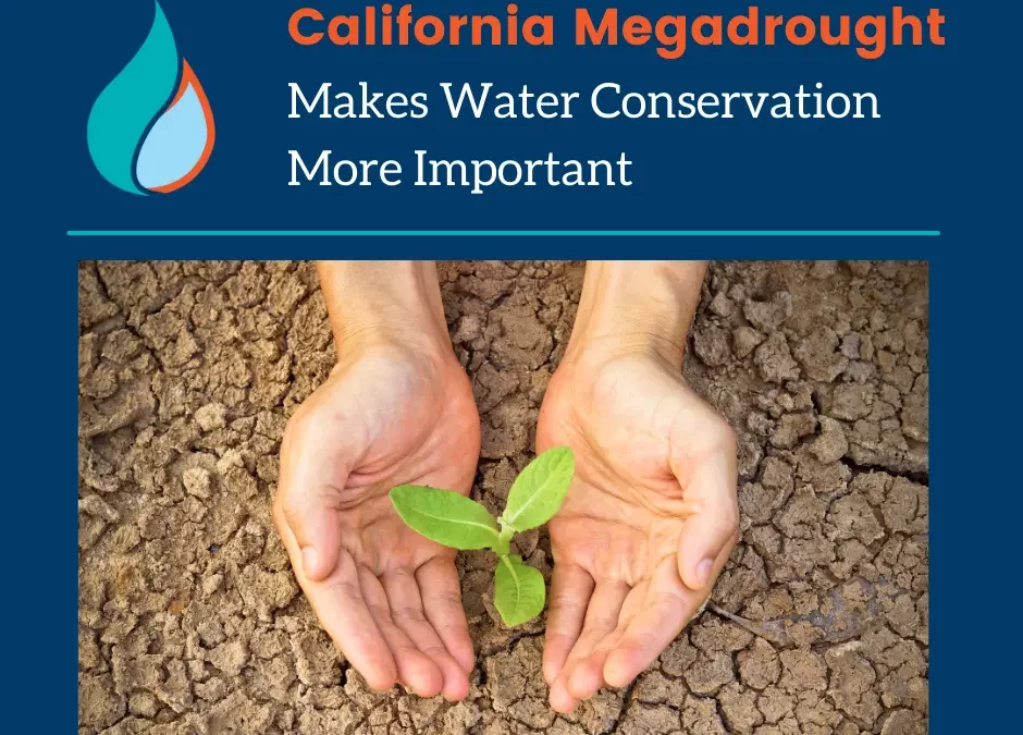 California Megadrought Makes Water Conservation More Important