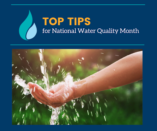 Top tips for National Water Quality Month