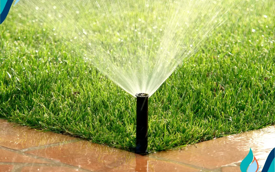 Smart Ways to Celebrate Smart Irrigation Month