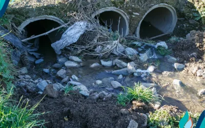 CA Has the Most Miles of Contaminated Rivers and Streams